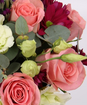 Imaginea produsului Cutie Rafinată