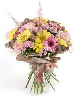 Imaginea produsului Splendoare Delicată Imaginea produsului Splendoare Delicată