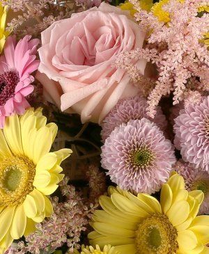 Imaginea produsului Splendoare Delicată