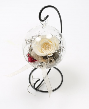 Imaginea produsului Trandafir Alb Criogenat în Glob Imaginea produsului Trandafir Alb Criogenat în Glob