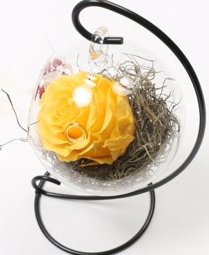 Imaginea produsului Trandafir Galben Criogenat în Glob