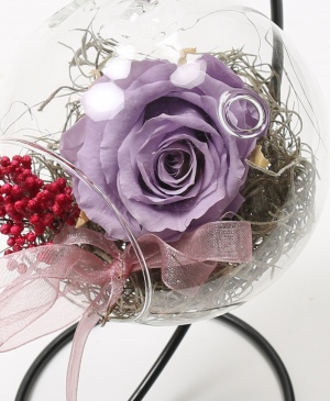 Imaginea produsului Trandafir Mov Criogenat în Glob