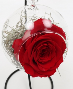 Imaginea produsului Trandafir Roșu Criogenat în Glob