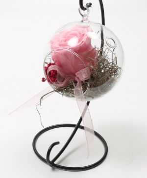 Imaginea produsului Trandafir Roz Criogenat în Glob