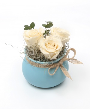 Imaginea produsului Vas Cu 3 Trandafiri Criogenați Albi Imaginea produsului Vas Cu 3 Trandafiri Criogenați Albi