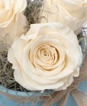 Imaginea produsului Vas Cu 3 Trandafiri Criogenați Albi