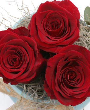 Imaginea produsului Vas Cu 3 Trandafiri Criogenați Roșii
