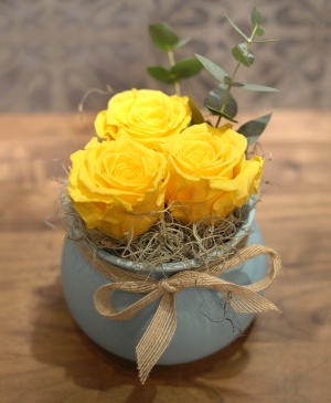 Imaginea produsului Vas Cu 3 Trandafiri Criogenați Galbeni Imaginea produsului Vas Cu 3 Trandafiri Criogenați Galbeni