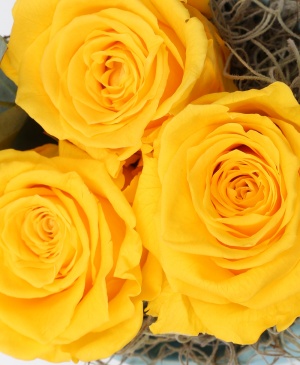 Imaginea produsului Vas Cu 3 Trandafiri Criogenați Galbeni