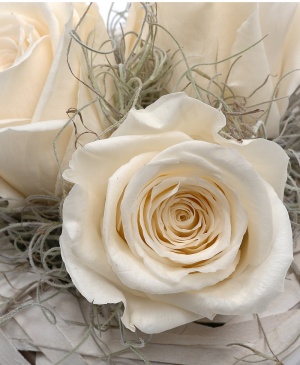 Imaginea produsului Coș Cu Trei Trandafiri Criogenați Albi