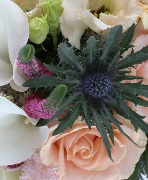 Imaginea produsului Cântec De Fericire