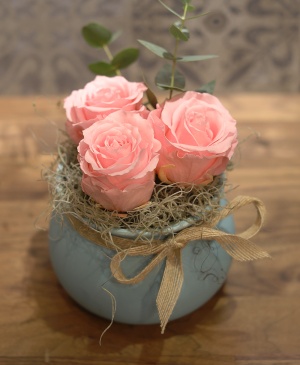 Imaginea produsului Vas Trei Trandafiri Criogenați Roz Imaginea produsului Vas Trei Trandafiri Criogenați Roz