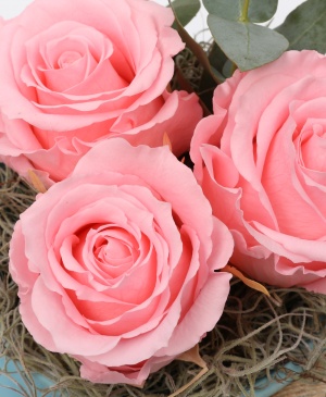 Imaginea produsului Vas Trei Trandafiri Criogenați Roz