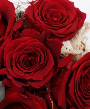 Imaginea produsului Cutie 5 Trandafiri Criogenați Roșii