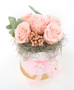 Imaginea produsului Cutie 5 Trandafiri Criogenați Roz Imaginea produsului Cutie 5 Trandafiri Criogenați Roz