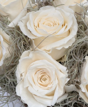 Imaginea produsului Coș 7 Criogenați Crem