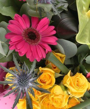 Imaginea produsului Eleganță Roz