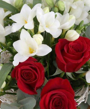 Imaginea produsului Feerie