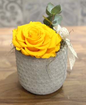 Imaginea produsului King Rose Criogenat Galben Imaginea produsului King Rose Criogenat Galben