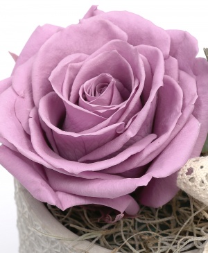 Imaginea produsului King Rose Criogenat Mov