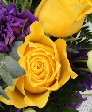 Imaginea produsului Optimism înflacărat