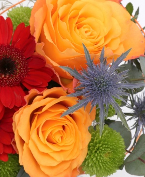 Imaginea produsului Tonic Revigorant