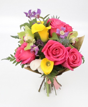 Imaginea produsului Pastel Fascinant Imaginea produsului Pastel Fascinant