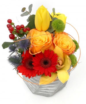 Imaginea produsului Culori Delicioase Imaginea produsului Culori Delicioase