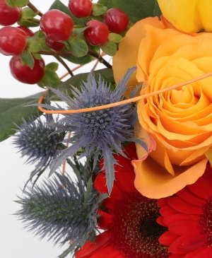 Imaginea produsului Culori Delicioase