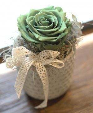 Imaginea produsului Trandafir Criogenat Verde Imaginea produsului Trandafir Criogenat Verde