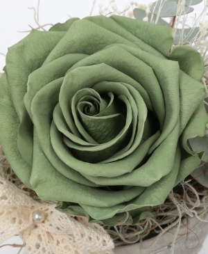 Imaginea produsului Trandafir Criogenat Verde