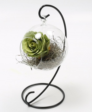 Imaginea produsului Trandafir Criogenat Verde în Glob