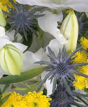 Imaginea produsului Sensibil Elocvent