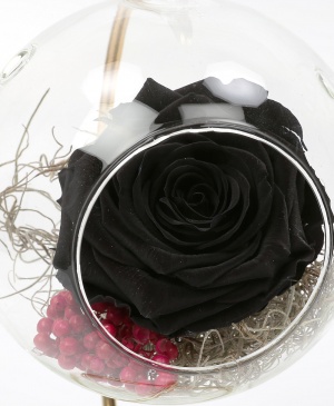 Imaginea produsului Trandafir Negru Criogenat în Glob