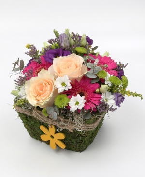 Imaginea produsului Grădină Viselor Imaginea produsului Grădină Viselor