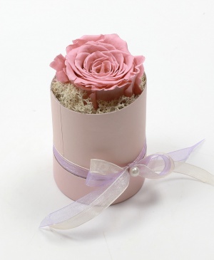 Imaginea produsului Trandafir în Cutie Surpriză Imaginea produsului Trandafir în Cutie Surpriză