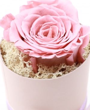 Imaginea produsului Trandafir în Cutie Surpriză