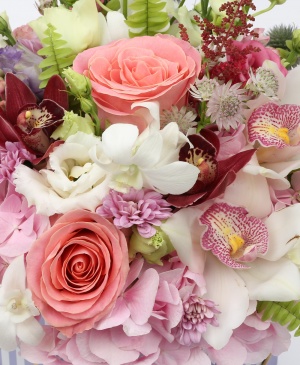 Imaginea produsului Emoție și Bucurie