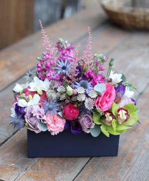 Imaginea produsului Calea Imaginației Imaginea produsului Calea Imaginației