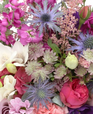 Imaginea produsului Calea Imaginației