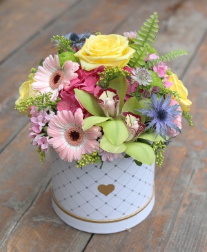 Imaginea produsului Pastel în Cutie Imaginea produsului Pastel în Cutie