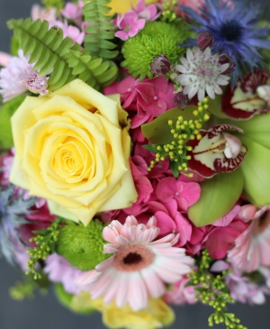 Imaginea produsului Pastel în Cutie