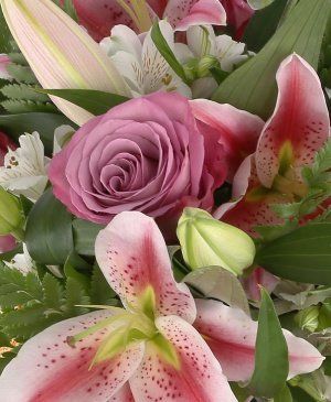 Imaginea produsului Zâmbet Dulce