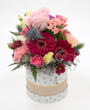 Imaginea produsului Diversitate în Cutie Imaginea produsului Diversitate în Cutie