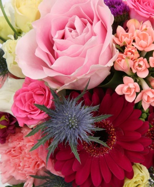 Imaginea produsului Diversitate în Cutie