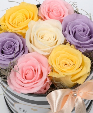 Imaginea produsului Cutie Trandafiri Criogenați Multicolori