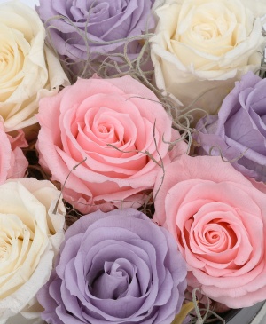 Imaginea produsului Cutie Cu 9 Trandafiri Criogenați Multicolori