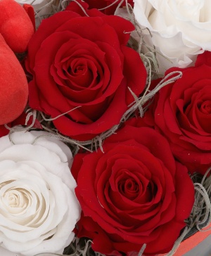 Imaginea produsului Iubire și Admirație Nemuritoare