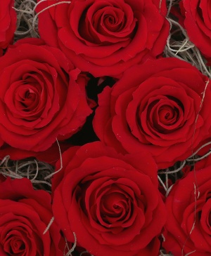 Imaginea produsului Inimă Cu 11 Trandafiri Criogenați