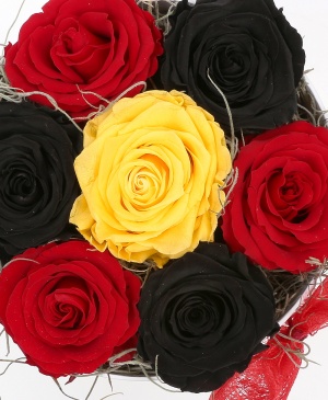 Imaginea produsului Cutie Cu 7 Trandafiri Criogenați în Trei Culori